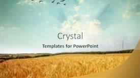  Presentation with birds flying - Presentation theme with flying-birds-over-a-yellow background and a soft green colored foreground