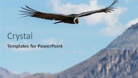  Presentation with flying - Audience pleasing presentation theme consisting of flying-condor-in-the-colca backdrop and a light blue colored foreground