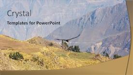  Presentation with flying - Theme enhanced with flying-condor-in-the-colca background and a light blue colored foreground
