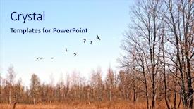  Presentation with duck hunting - Presentation having flying ducks on lake background and a sky blue colored foreground