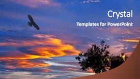  Presentation with eagle - Theme enhanced with flying eagle - alcon and clouds background and a ocean colored foreground