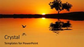  Presentation with eagle - Audience pleasing theme consisting of color of sunset backdrop and a gold colored foreground