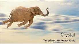  Presentation with elephant - Audience pleasing PPT theme consisting of smoking wood man with a big hat backdrop and a wine colored foreground