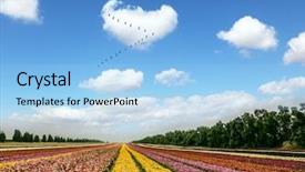  Presentation with birds flying - PPT theme with flying flock of migratory bird background and a light blue colored foreground