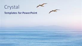  Presentation with blue sky - Audience pleasing PPT layouts consisting of flying-gannet-on-blue-sky backdrop and a sky blue colored foreground