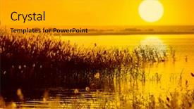  Presentation with bulrushes - PPT theme having flying high - bulrushes against sunlight over sky background and a light gray colored foreground