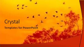  Presentation with sunlight - Amazing presentation having flying high - trees against sunlight over sky backdrop and a gray colored foreground