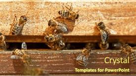  Presentation with honey - Theme with flying-honey-bees-into-beehive background and a tawny brown colored foreground