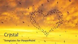  Presentation with birds flying - Presentation design having flying in the heart formation background and a yellow colored foreground