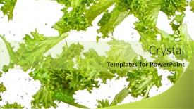  Presentation with healthy eating - Colorful PPT theme enhanced with flying-lettuce-salad-isolated backdrop and a yellow colored foreground