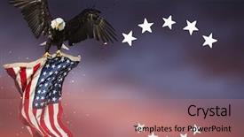  Presentation with eagle flying - Audience pleasing slides consisting of flying north american bald eagle backdrop and a coral colored foreground