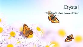  Presentation with lilac flowers bunch over wood - Cool new slide set with flying over flowers on sunny backdrop and a  colored foreground