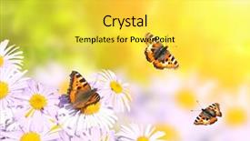  Presentation with lilac flowers bunch over wood - Beautiful slide deck featuring flying over flowers on sunny backdrop and a  colored foreground