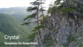  Presentation with forest morning - Slide deck featuring flying over pine tree forest background and a gray colored foreground