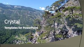  Presentation with forest morning - Presentation having flying over pine tree forest background and a gray colored foreground