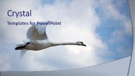  Presentation with geese flying - PPT layouts featuring flying swan background and a lemonade colored foreground