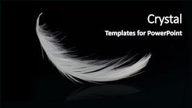  Presentation with feather - Audience pleasing PPT layouts consisting of flying white feather on black backdrop and a black colored foreground