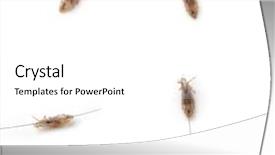  Presentation with white differene - Beautiful PPT layouts featuring fmea - images of different lice backdrop and a white colored foreground