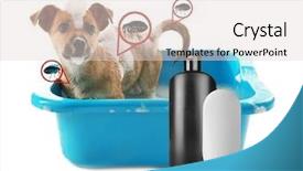  Presentation with flea - Amazing PPT layouts having fmea - puppy in basin and bottles backdrop and a lemonade colored foreground