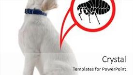  Presentation with puppy - Amazing slide deck having fmea - puppy infested with fleas backdrop and a white colored foreground