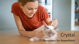  Presentation with product - Presentation design having fmea - woman injecting cat product background and a coral colored foreground