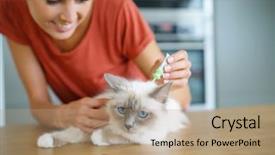  Presentation with product - Beautiful PPT theme featuring fmea - woman injecting cat product backdrop and a coral colored foreground