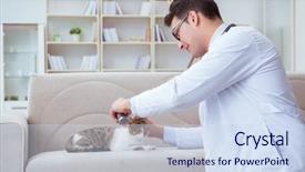  Presentation with dog and cat health - Presentation theme having fmea medical equipment - cat visiting vet for regular background and a sky blue colored foreground