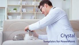  Presentation with vet - Audience pleasing slides consisting of fmea medical equipment - cat visiting vet for regular backdrop and a sky blue colored foreground