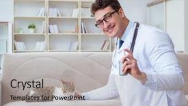  Presentation with cat and moon - Beautiful PPT layouts featuring fmea medical equipment - cat visiting vet for regular backdrop and a light gray colored foreground