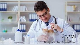  Presentation with vet - Presentation design enhanced with fmea medical equipment - cat visiting vet for regular background and a light blue colored foreground