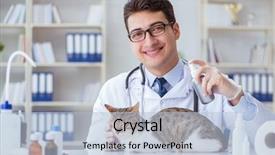  Presentation with vet - Slide set having fmea medical equipment - cat visiting vet for regular background and a light blue colored foreground