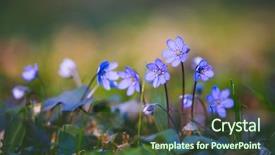  Presentation with small group top view - Cool new PPT theme with focus blurred foreground template floral backdrop and a tawny brown colored foreground