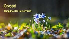  Presentation with view - Audience pleasing presentation design consisting of focus blurred foreground template floral backdrop and a tawny brown colored foreground