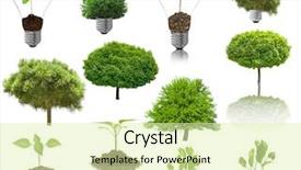  Presentation with tree - Cool new slide deck with focus high growth - collection isolated tree backdrop and a  colored foreground