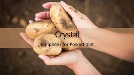  Presentation with female - Cool new PPT layouts with focus high growth - cropped image of female gardener backdrop and a coral colored foreground