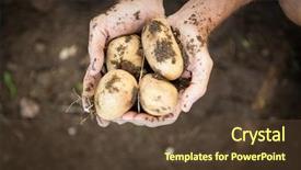  Presentation with microwave imaging image of modern - Colorful PPT layouts enhanced with focus high growth - cropped image of male gardener backdrop and a tawny brown colored foreground