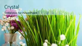  Presentation with blue green - Presentation theme consisting of focus high growth - fresh green grass over blue background and a  colored foreground