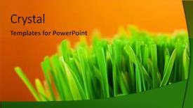  Presentation with orange - Amazing presentation design having focus high growth - fresh green grass over orange backdrop and a  colored foreground