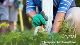  Presentation with focus - PPT layouts featuring focus high growth - midsection of mature female gardener background and a tawny brown colored foreground