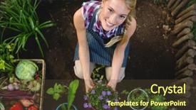  Presentation with plant growth - Slide set with focus high growth - portrait of happy young gardener background and a tawny brown colored foreground