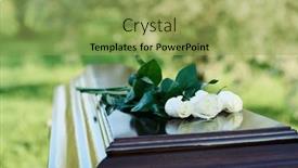  Presentation with focus - PPT theme enhanced with focus-on-bunch-of-several background and a yellow colored foreground