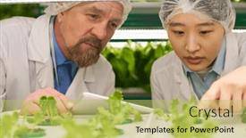  Presentation with intercultural - Theme with focus-on-faces-of-intercultural background and a  colored foreground