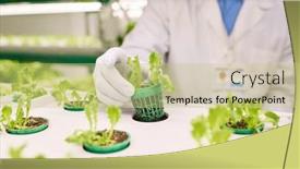  Presentation with agronomist - Slides featuring focus-on-gloved-hand background and a soft green colored foreground