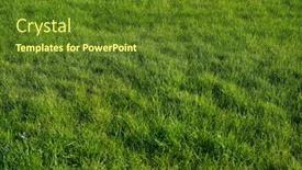  Presentation with green lawn - PPT layouts with focus-on-the-grass background and a tawny brown colored foreground