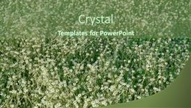  Presentation with green lawn - Theme with focus-on-the-grass background and a tawny brown colored foreground