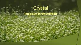  Presentation with green lawn - PPT theme having focus-on-the-grass background and a tawny brown colored foreground