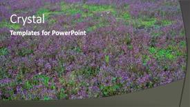  Presentation with green lawn - Presentation theme enhanced with focus-on-the-grass background and a gray colored foreground