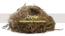  Presentation with together we focus - Audience pleasing theme consisting of focus stacking of a nest backdrop and a tawny brown colored foreground