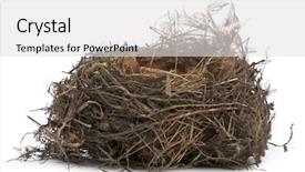  Presentation with focus - Slides enhanced with focus stacking of a nest background and a light gray colored foreground
