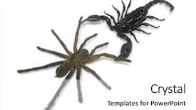  Presentation with drone fire fighting robot - Audience pleasing PPT layouts consisting of foe - photo of a spider fighting backdrop and a  colored foreground